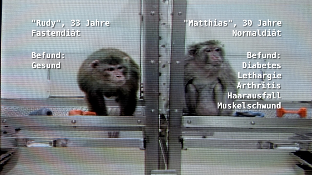 amanfanglicht_press_40