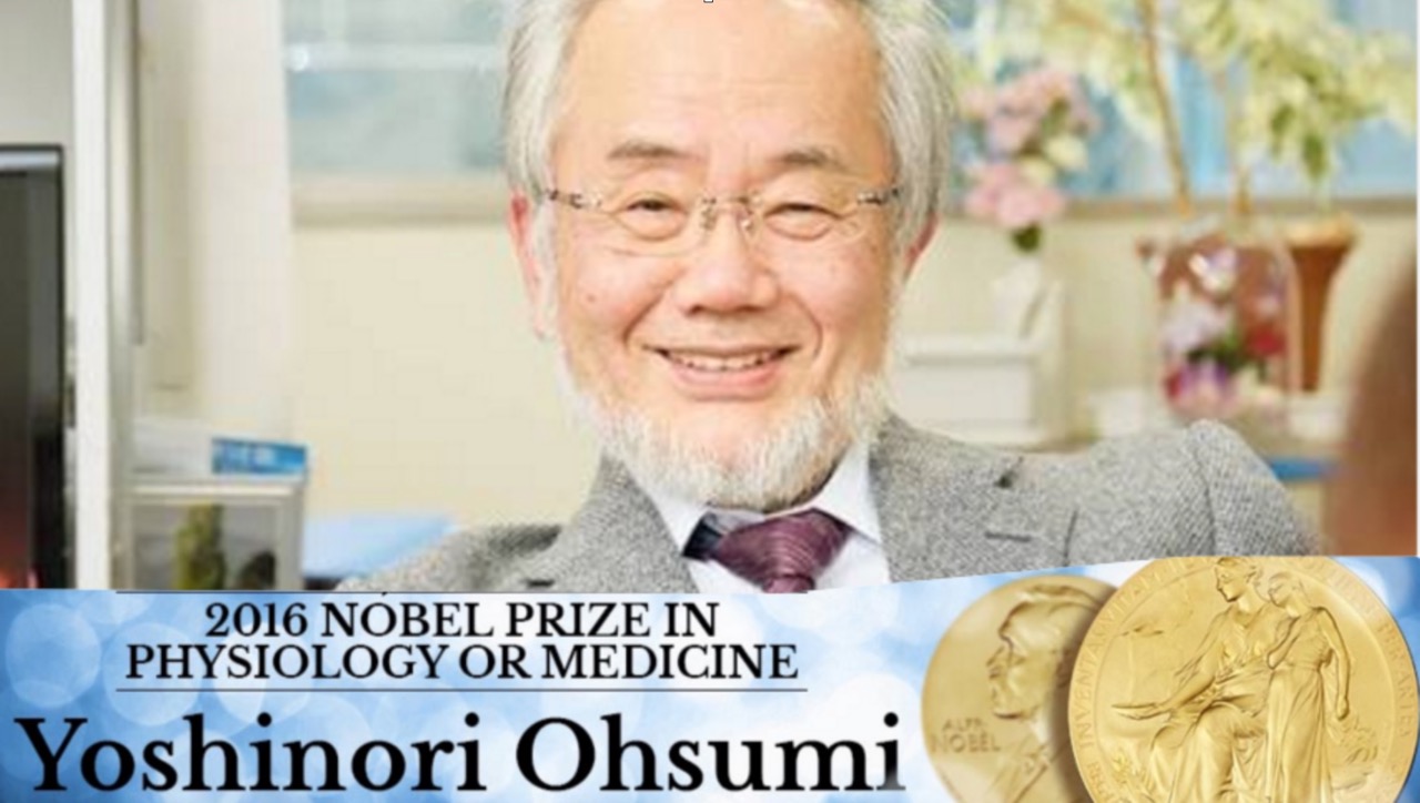 nobelpreis